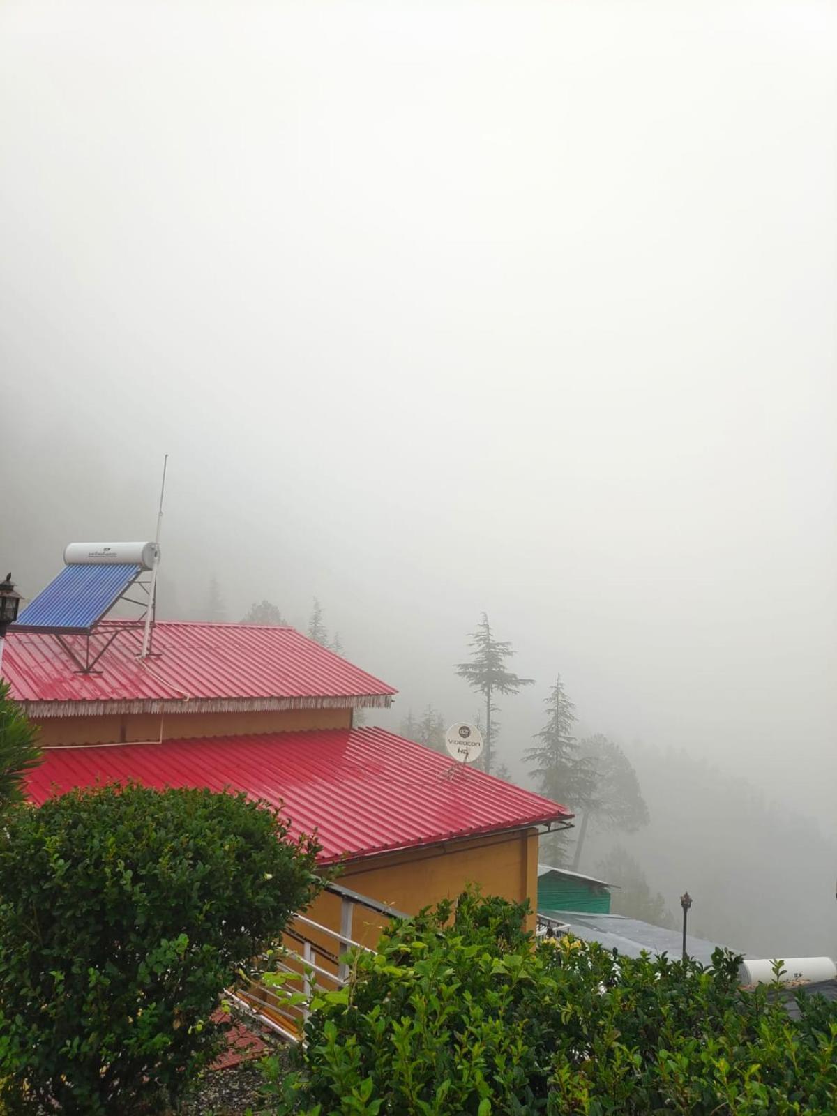 Little Heart Resort Chail Esterno foto