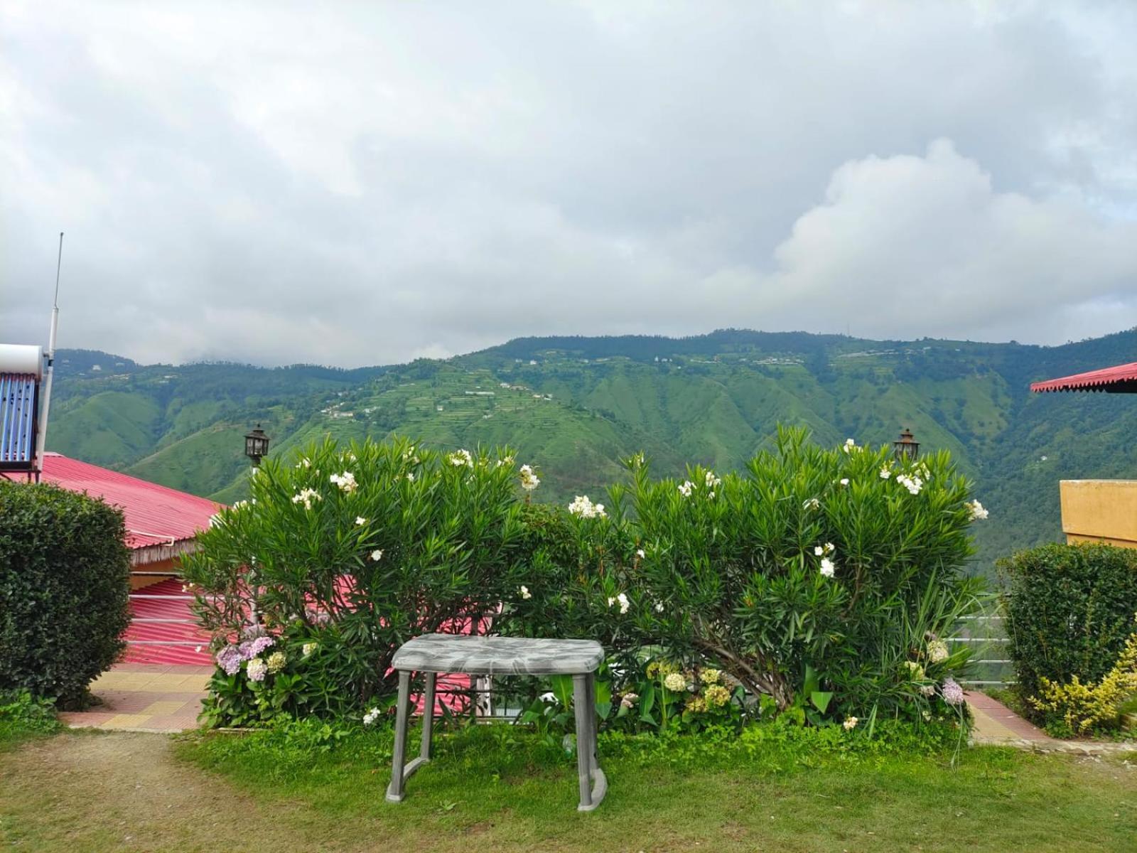 Little Heart Resort Chail Esterno foto