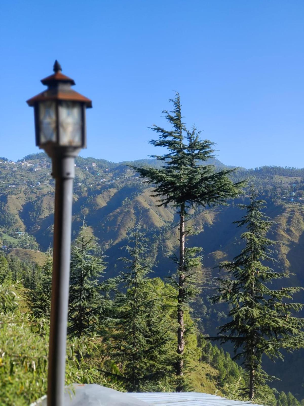 Little Heart Resort Chail Esterno foto