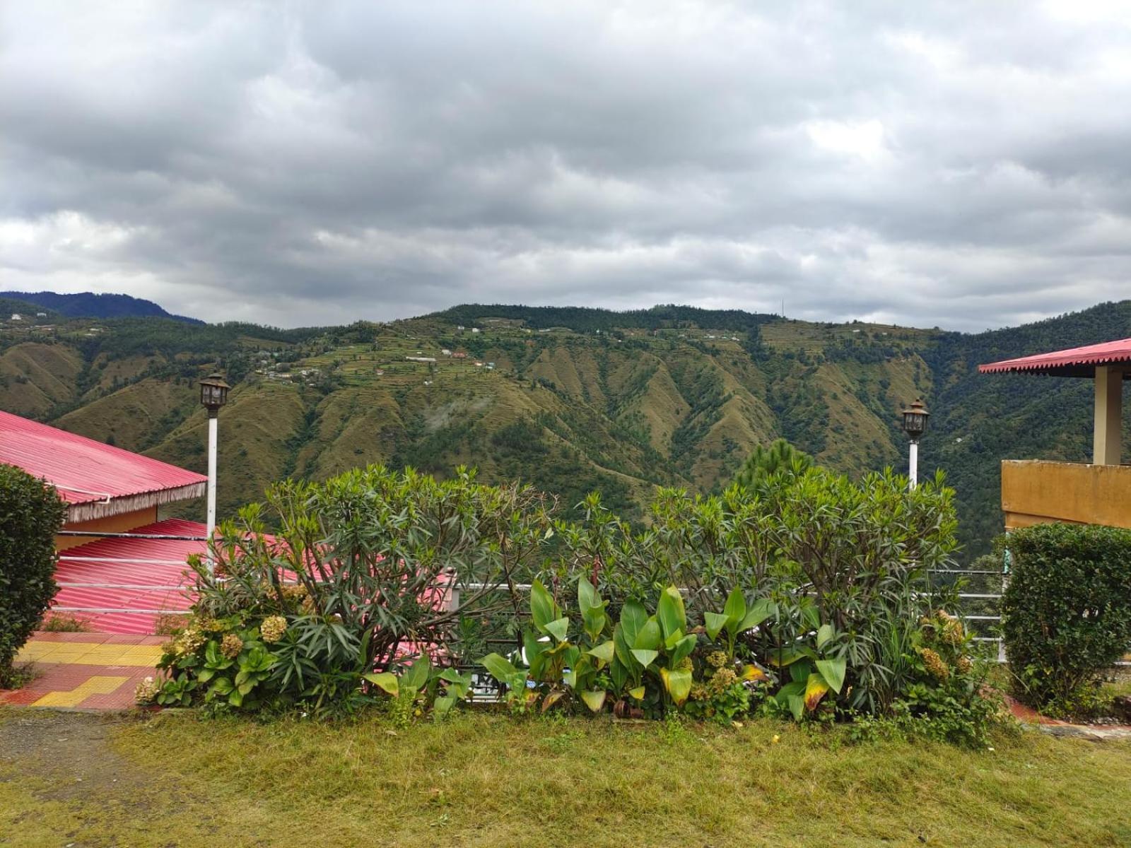Little Heart Resort Chail Esterno foto
