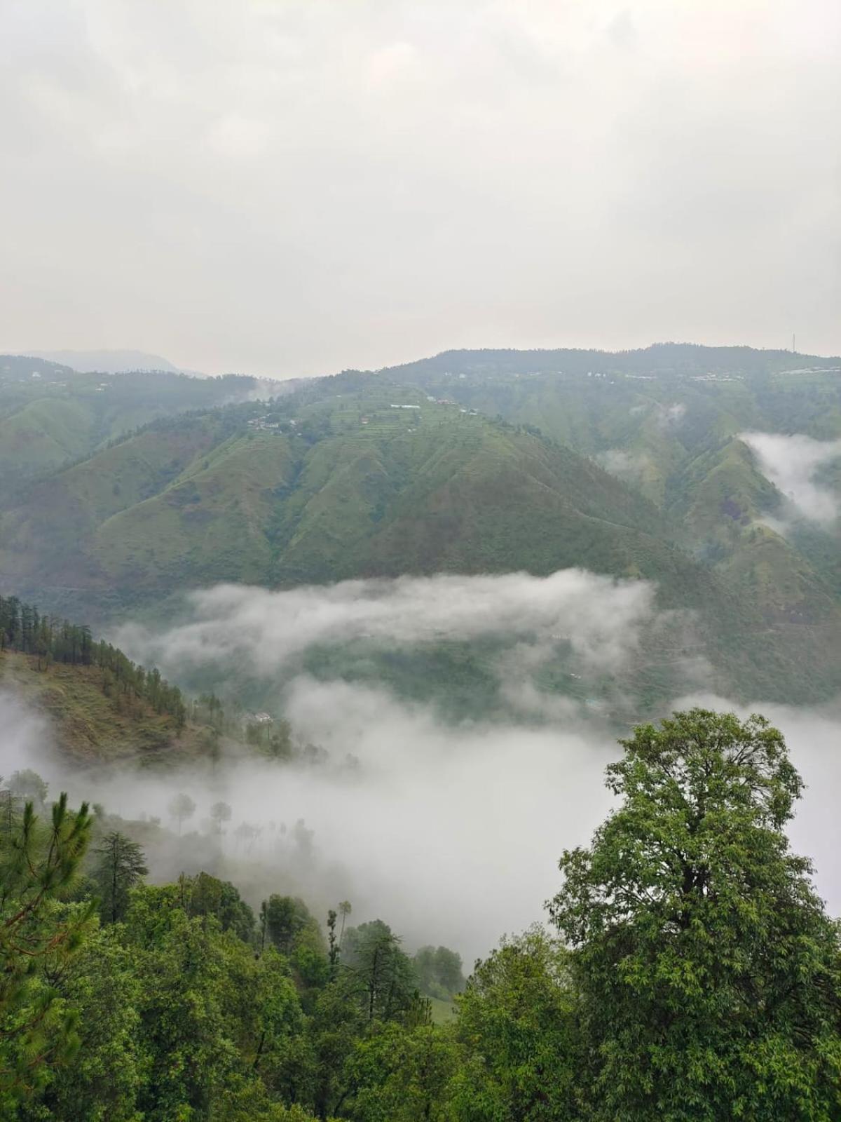 Little Heart Resort Chail Esterno foto
