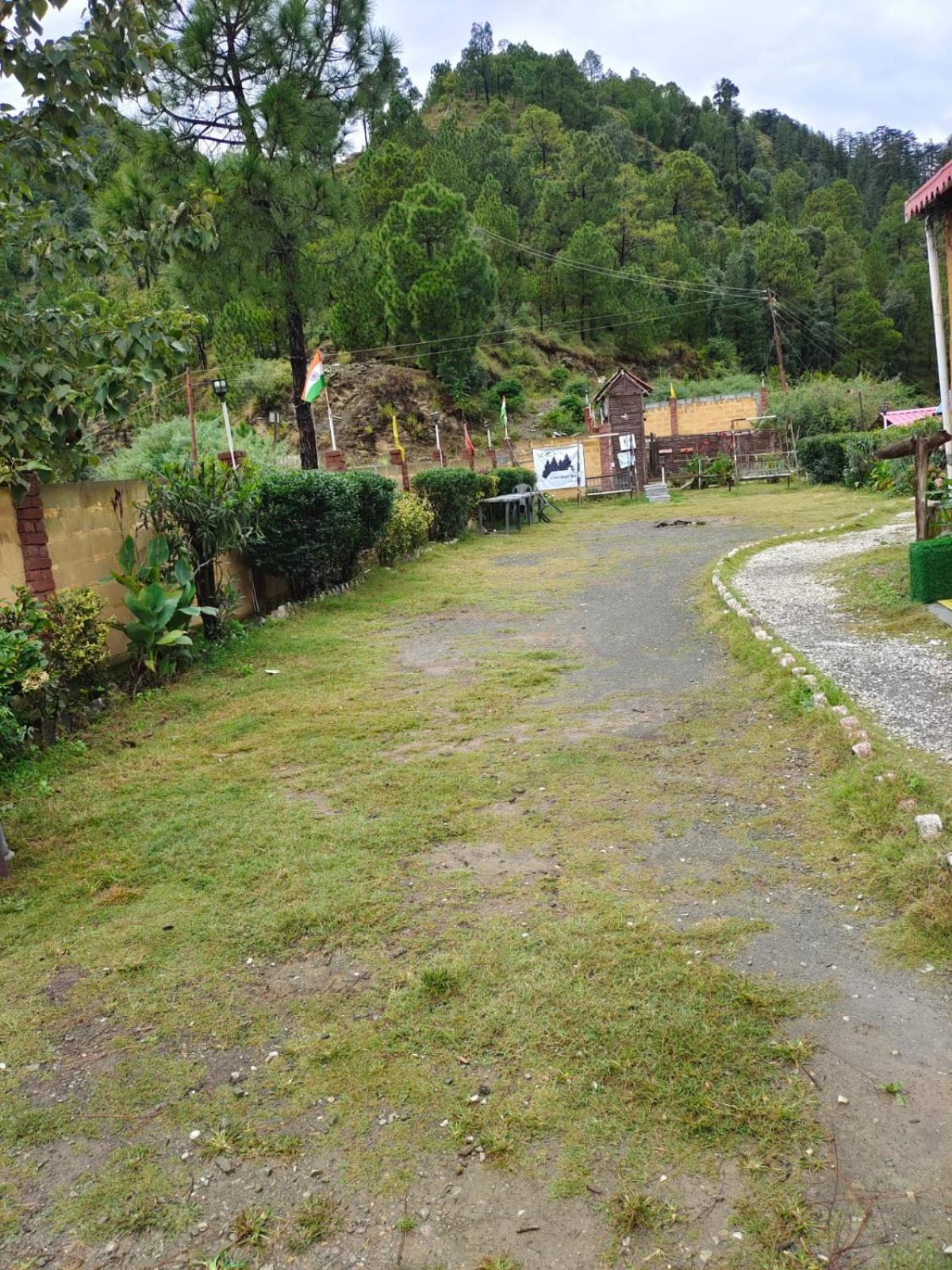 Little Heart Resort Chail Esterno foto