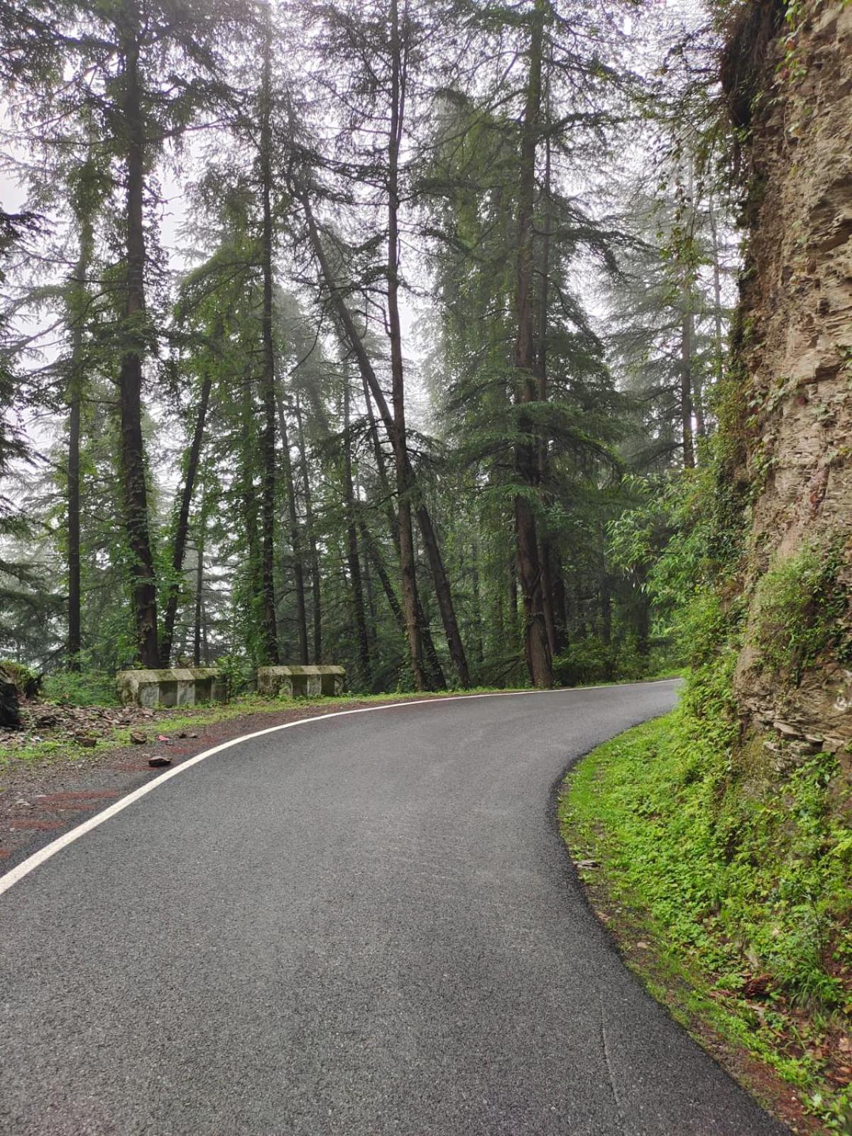 Little Heart Resort Chail Esterno foto